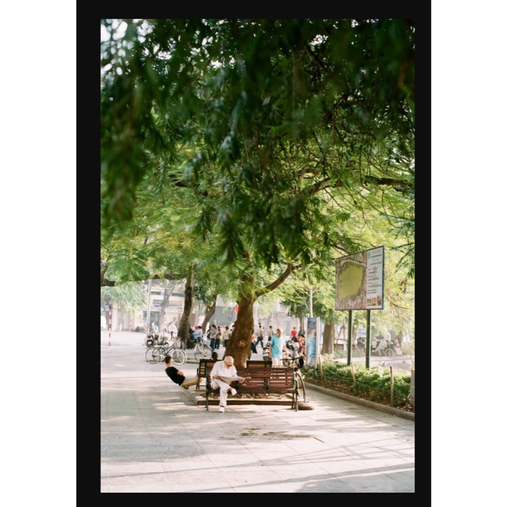 【限時購】🏆 公司貨 富士 Fuji C200 彩色負片 🎞️ 35mm 底片 36張 ISO 200 經典版-細節圖4