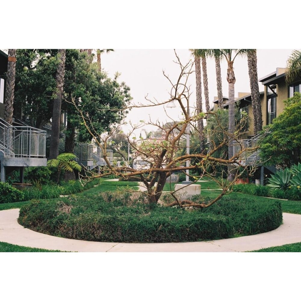 公司貨 富士 Fujifilm ISO 400 彩色負片 35mm 底片 36張入 含稅附發票 效期2026/10-細節圖6