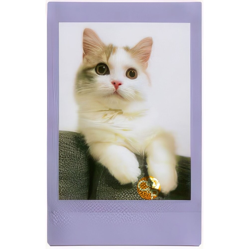 💯正品 公司貨 現貨 instax mini 底片 紫邊 薰衣草 富士 拍立得 SOFT LAVENDER-細節圖3