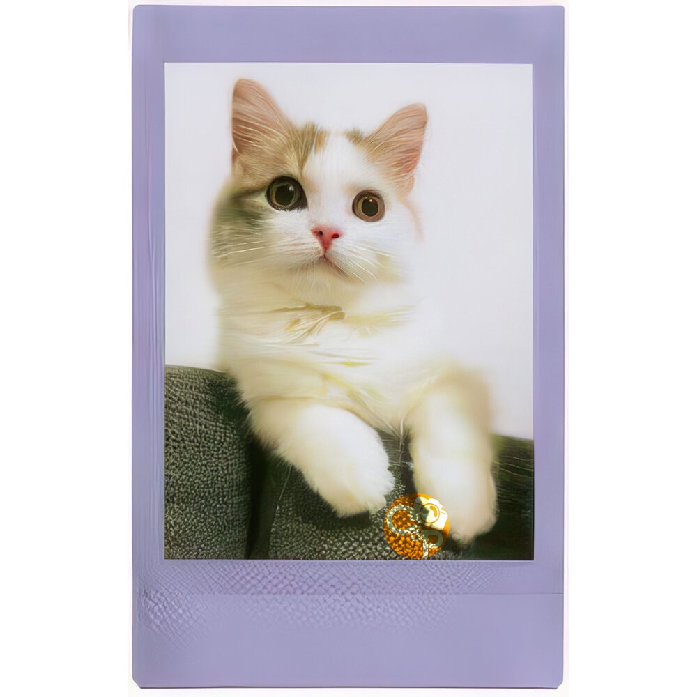 💯正品 公司貨 現貨 instax mini 底片 紫邊 薰衣草 富士 拍立得 SOFT LAVENDER-細節圖6