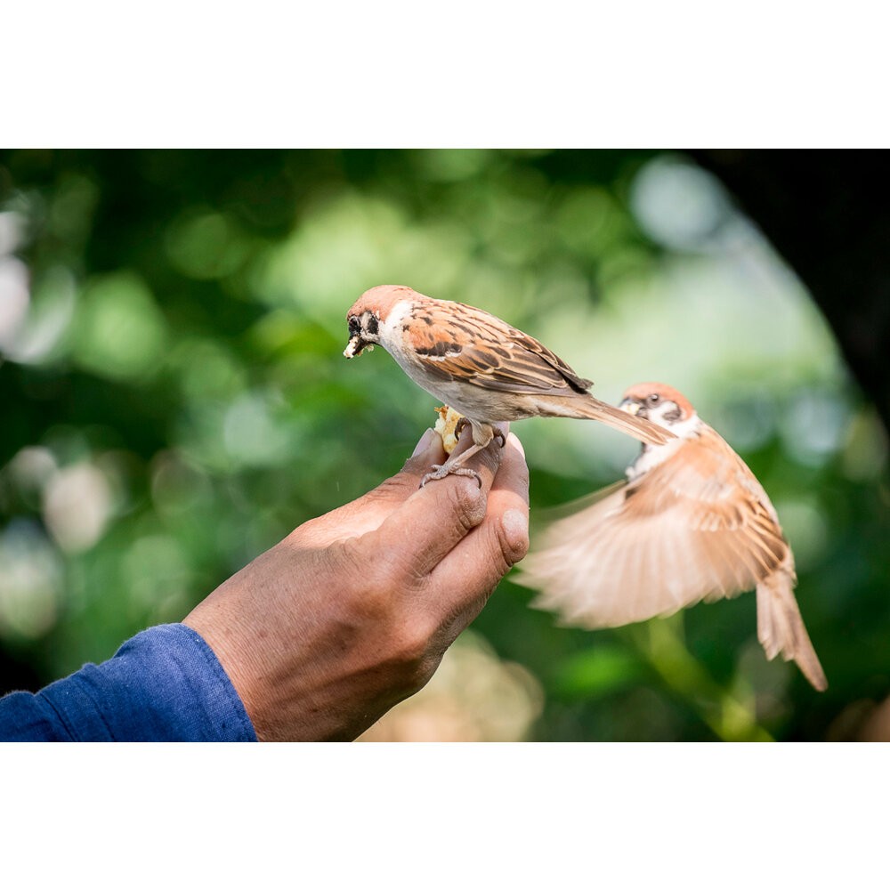 💯正品🏆 現貨 公司貨 全新未拆 Fujifilm XF 55-200mm F3.5-4.8 R LM OIS 望遠變焦-細節圖4