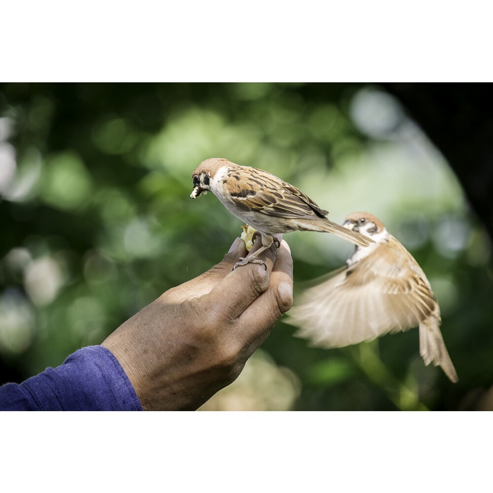 💯正品🏆 現貨 公司貨 全新未拆 Fujifilm XF 55-200mm F3.5-4.8 R LM OIS 望遠變焦-細節圖11