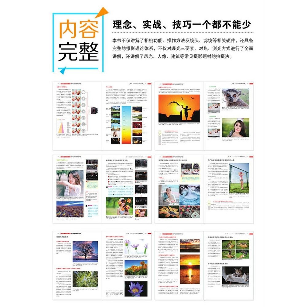 Canon 佳能微單EOS R5/R6攝影與視頻拍攝技巧大全 攝影書 教學 工具書 正版書 簡體-細節圖4