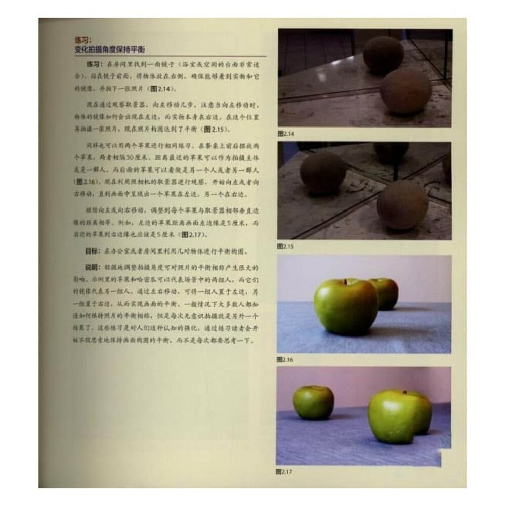 拍出絕世佳作：世界頂級攝影師私藏技法解密 攝影書 教學 工具書 正版書 簡體-細節圖2