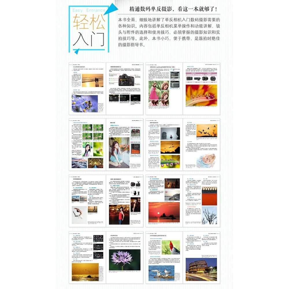 數碼單反攝影從入門到精通 攝影愛好者的入門教程 攝影構圖與用光 攝影書 教學 工具書 正版書-細節圖2