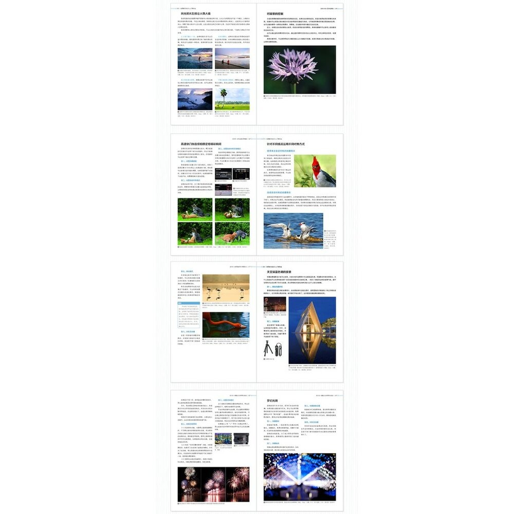 數碼單反攝影從入門到精通 攝影愛好者的入門教程 攝影構圖與用光 攝影書 教學 工具書 正版書-細節圖6