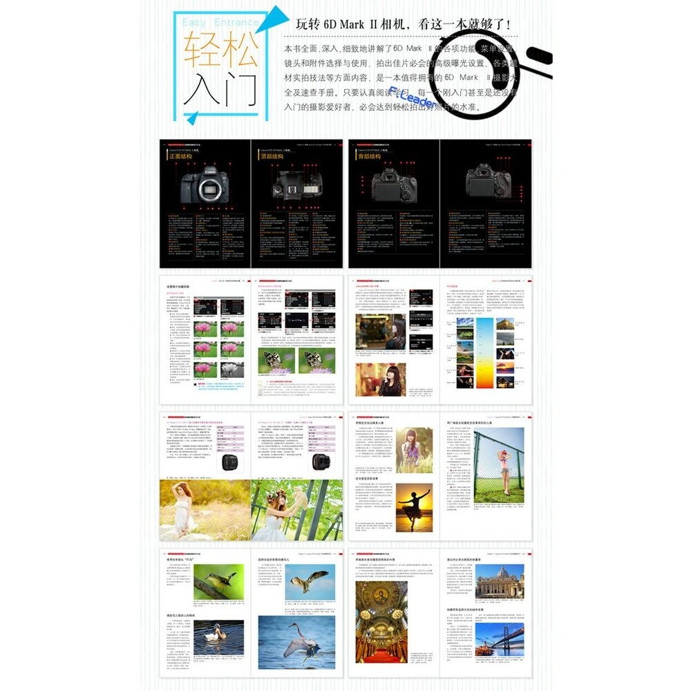 Canon EOS 6D Mark 2 Ⅱ數碼單反攝影技巧大全 攝影書 教學 工具書 正版書-細節圖2