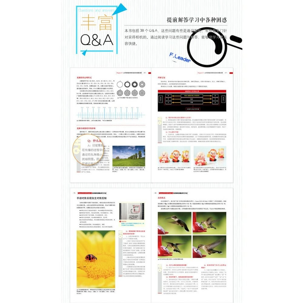 Canon EOS 6D Mark 2 Ⅱ數碼單反攝影技巧大全 攝影書 教學 工具書 正版書-細節圖4