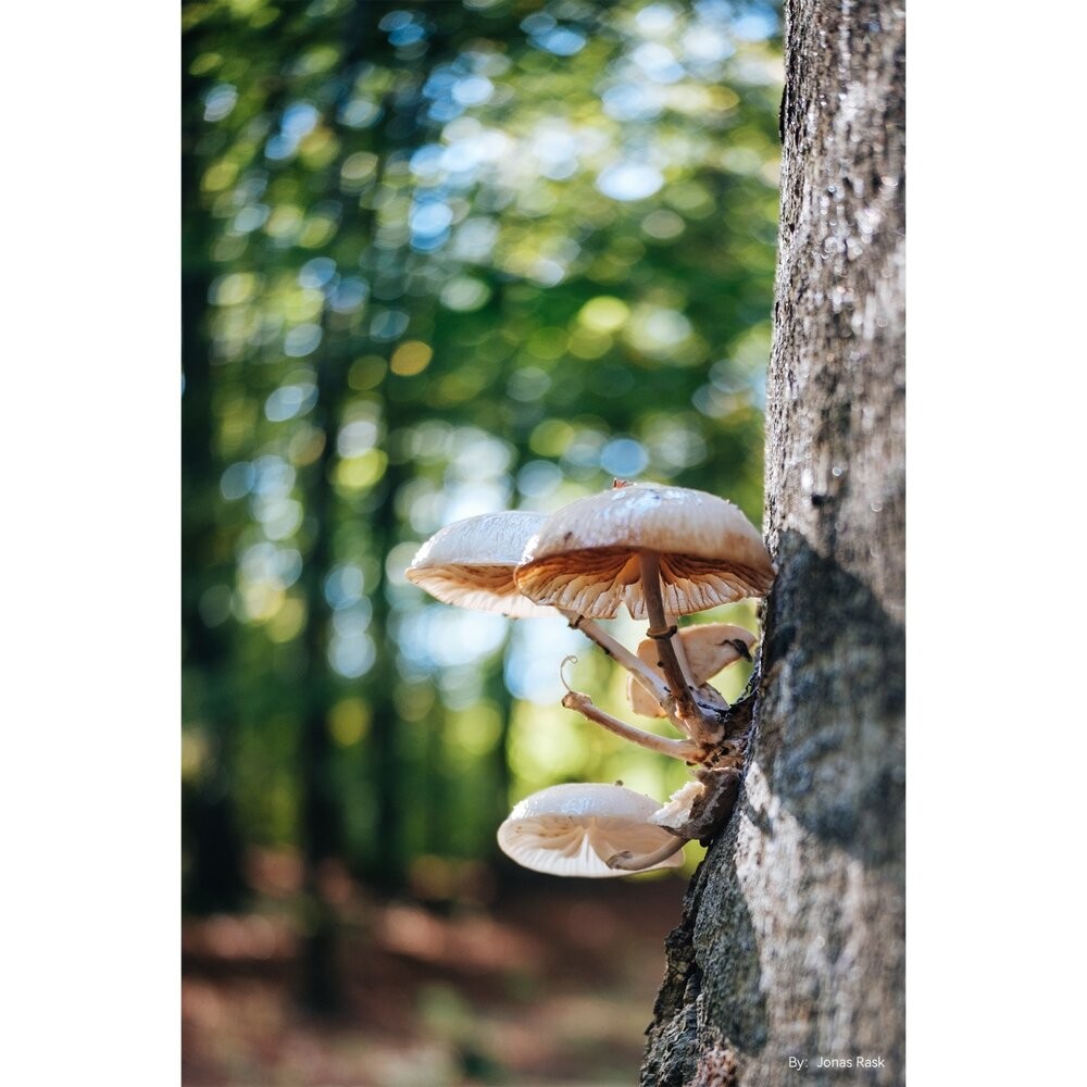 ✨24期0利率📸富士 公司貨 X-E5 黑色 搭 銘匠 AF 27mm F2.8 自動對焦鏡頭 街拍組合 兩年保固-細節圖6