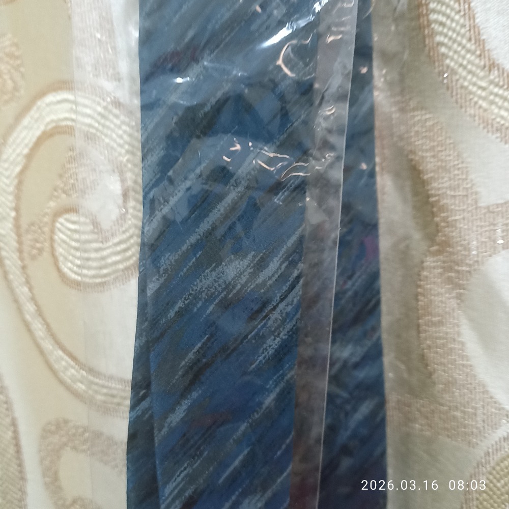 領帶 全新 SAPPORO 21(JAPAN)日本 寬8公分-細節圖2