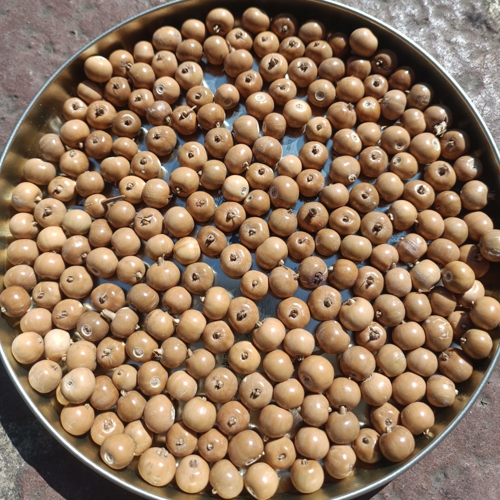 ★326種子手作空間★~黃金薏苡..可種植，可手作一顆3元-細節圖3