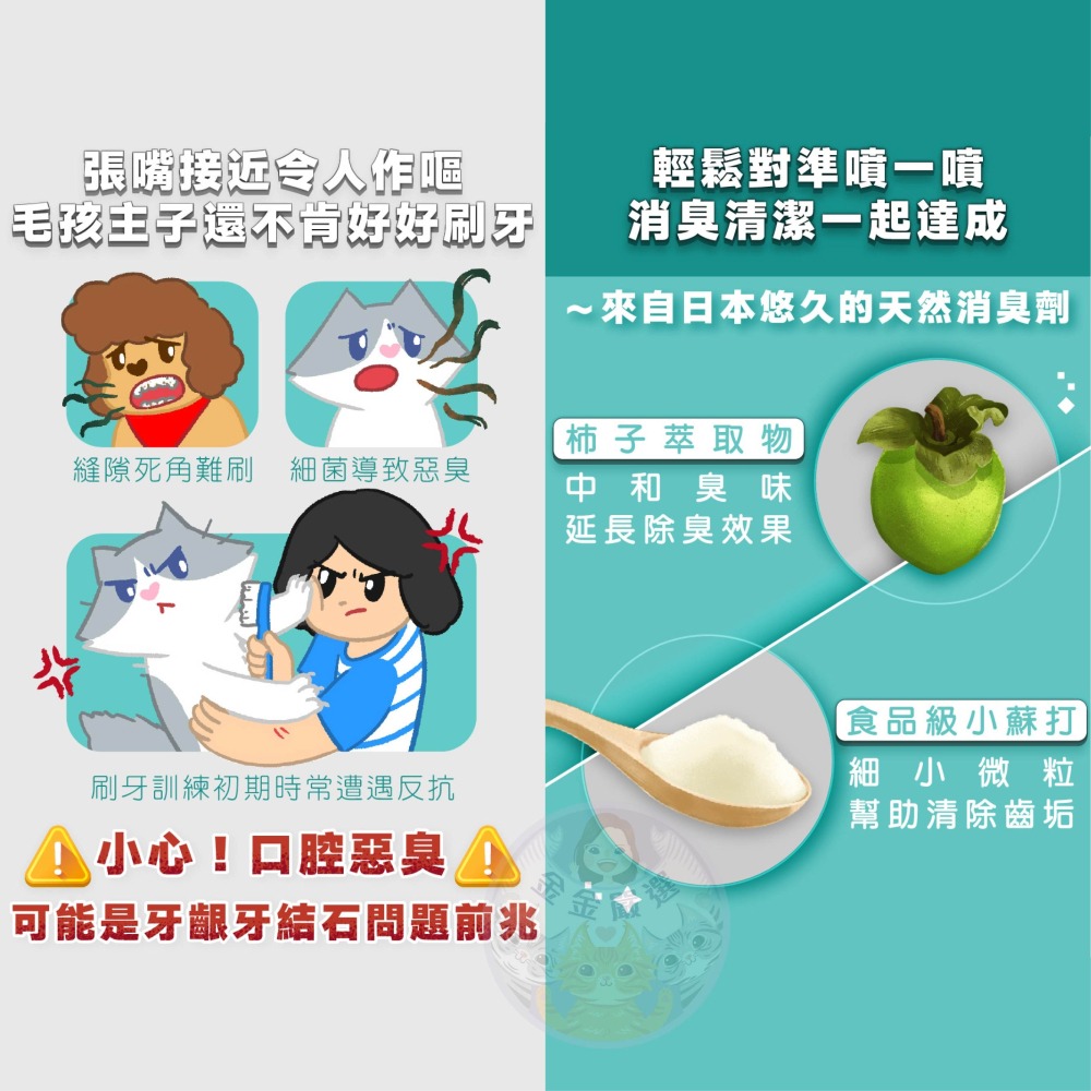 金金嚴選 臭味滾 口腔除臭噴霧 寵物口腔除臭噴霧 狗口腔除臭噴霧 狗口臭 貓口臭 臭味滾口腔噴霧-細節圖5