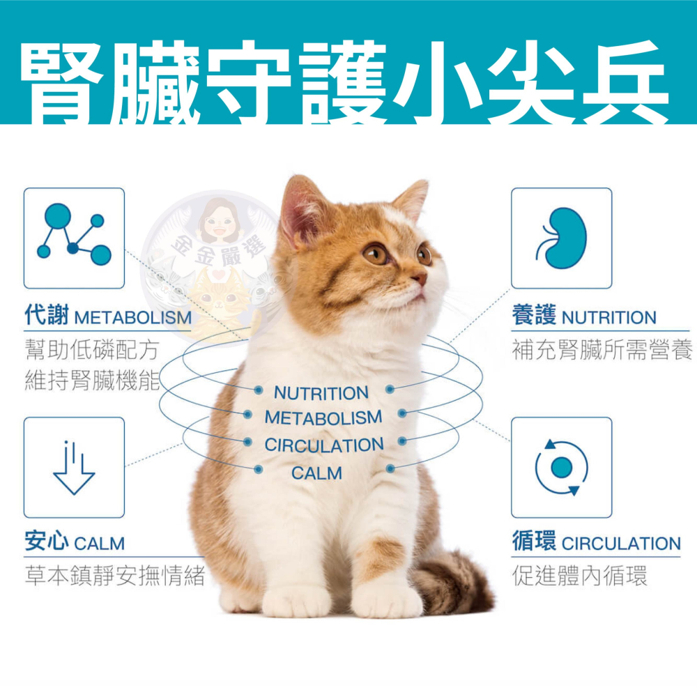 金金嚴選 (買就送濕紙巾) 木入森 保腎利 貓腎臟 貓咪腎臟 貓咪腎臟保健 貓咪腎臟營養品 貓腎臟營養品 貓腎臟保健-細節圖4