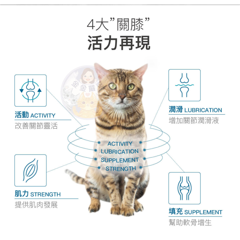 金金嚴選 (買就送濕紙巾) 木入森 木入森有關膝 貓咪有關膝 貓咪關節保養 貓關節保養 貓咪保健品-細節圖3