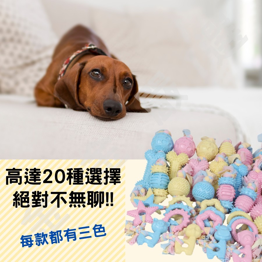 金金嚴選 狗狗玩具 狗玩具 寵物玩具 耐咬玩具 寵物耐咬玩具 狗耐咬玩具  耐咬玩具 啃咬玩具  馬卡龍色系TPR玩具-細節圖4