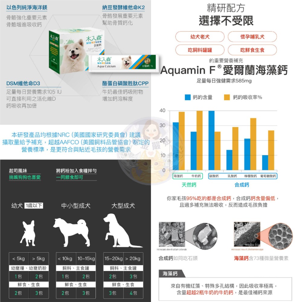 金金嚴選 木入森 木入森體驗包  木入森單包 寵物益生菌 排毛粉 貓咪益生菌 狗狗益生菌 貓益生菌 狗益生菌 木入森排毛-細節圖4