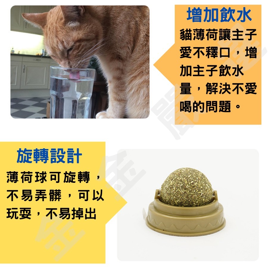 金金嚴選 貓玩具 貓草玩具 貓薄荷 貓薄荷球 木天蓼 木天蓼球 旋轉貓薄荷球 蟲癭果球 貓薄荷球 貓咪舒壓 貓潔牙球-細節圖3