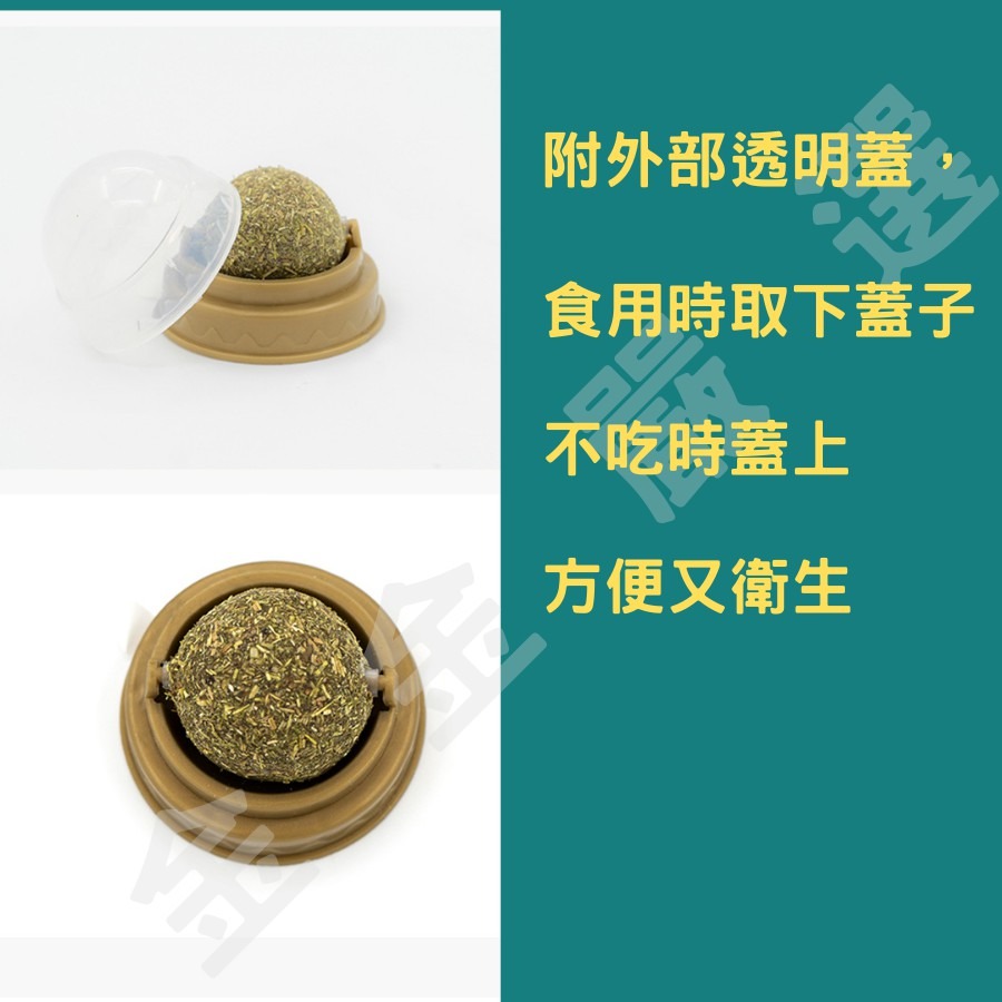 金金嚴選 貓玩具 貓草玩具 貓薄荷 貓薄荷球 木天蓼 木天蓼球 旋轉貓薄荷球 蟲癭果球 貓薄荷球 貓咪舒壓 貓潔牙球-細節圖4