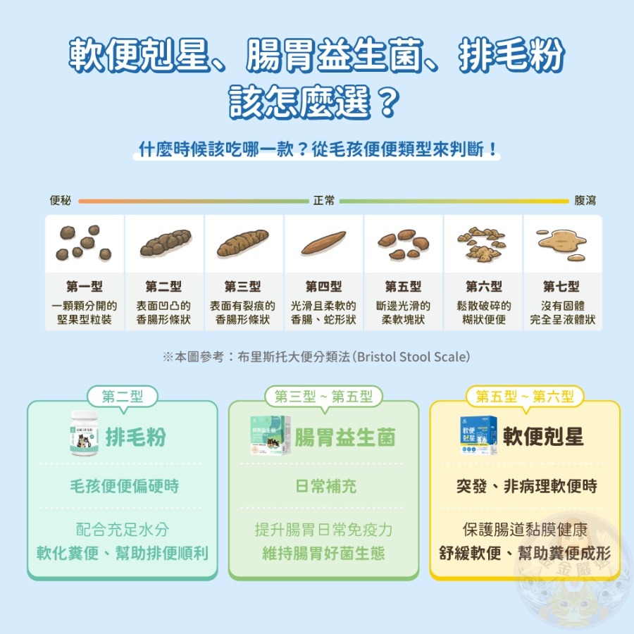 金金嚴選 汪喵星球 軟便剋星 寵物益生菌 狗狗益生菌 貓咪益生菌 腸胃益生菌 腸道快速穩定 寵物保健 寵物保健品-細節圖4