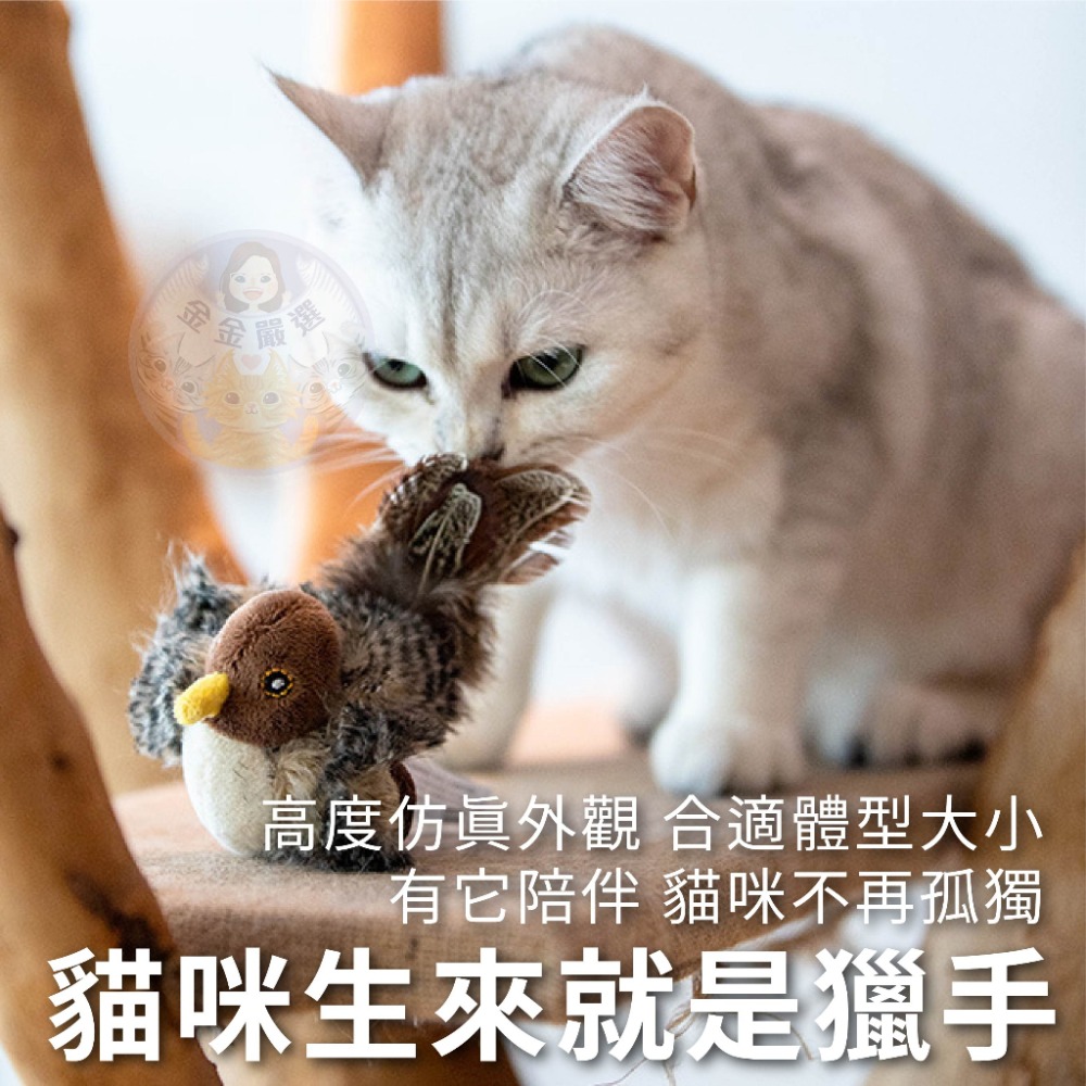 金金嚴選 貓玩具 貓咪玩具 逗貓玩具 GiGwi 貴為 貴為貓玩具 GiGwi貓玩具 貓咪狩獵玩具 貓咪觸碰發聲玩具-細節圖7