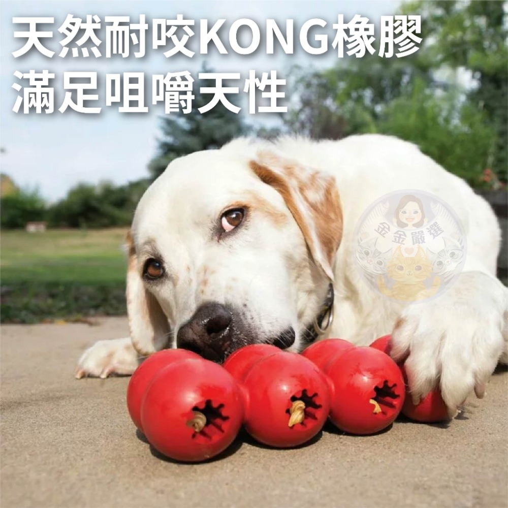 金金嚴選 KONG 美國KONG 狗玩具 狗狗玩具 寵物玩具 磨牙玩具 耐咬玩具 狗耐咬 狗磨牙-細節圖4