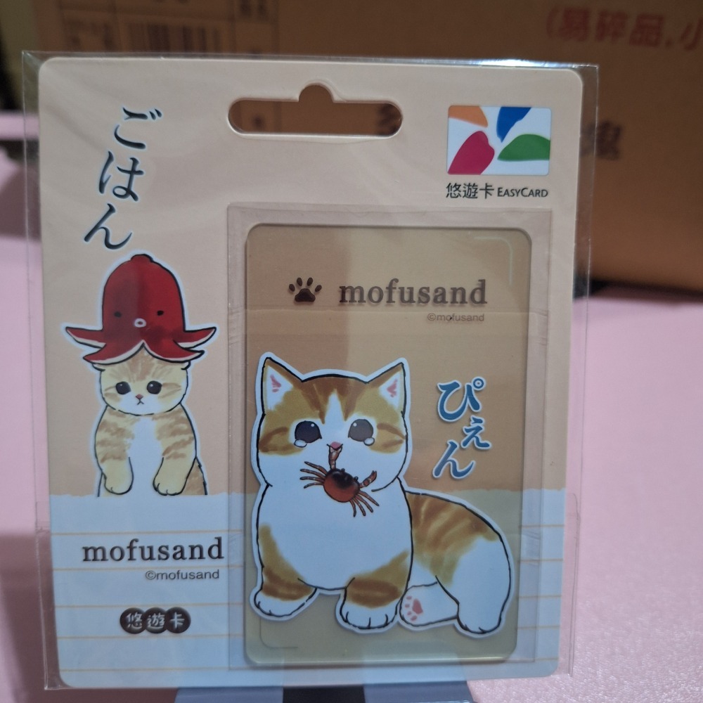 猫福珊迪5