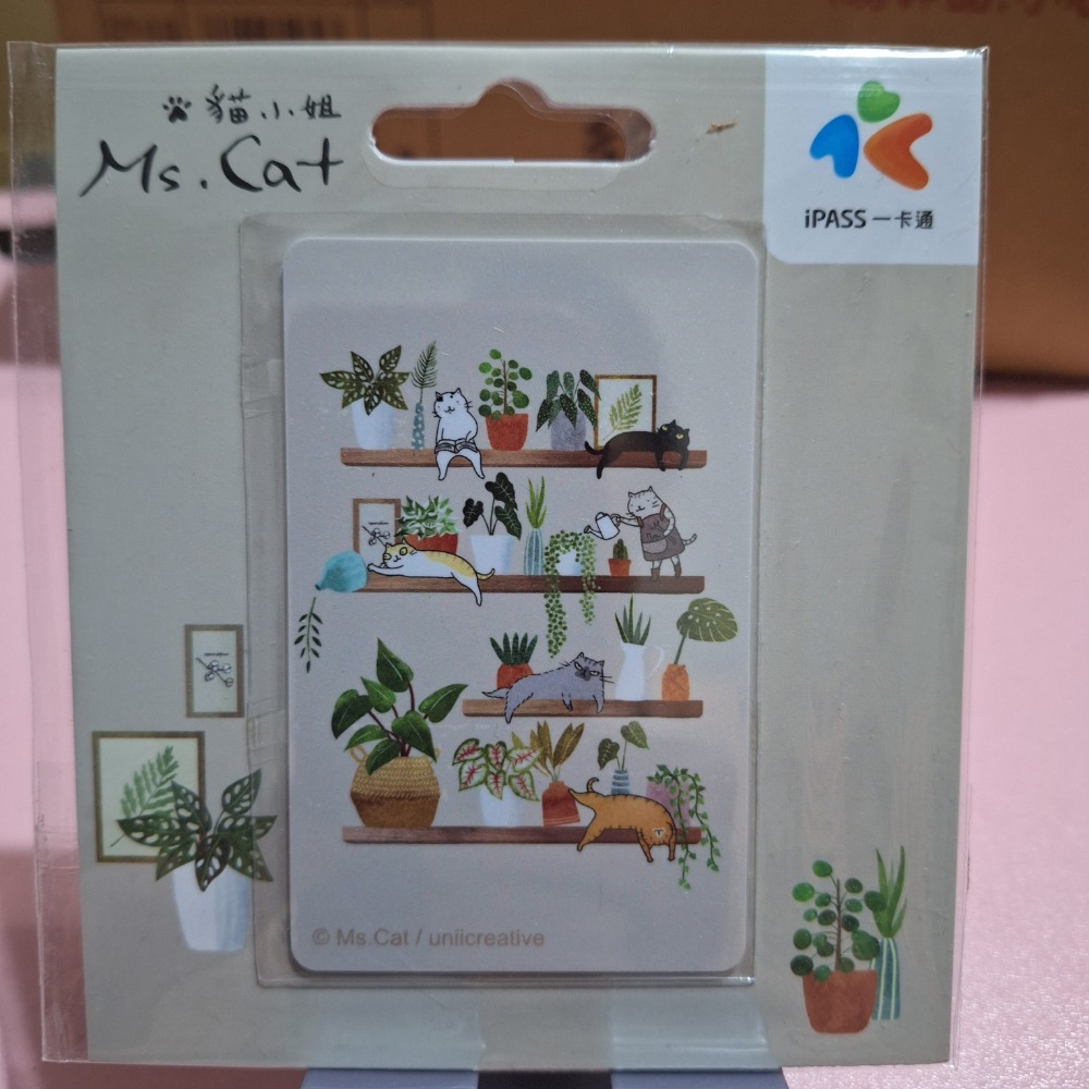 貓小姐1