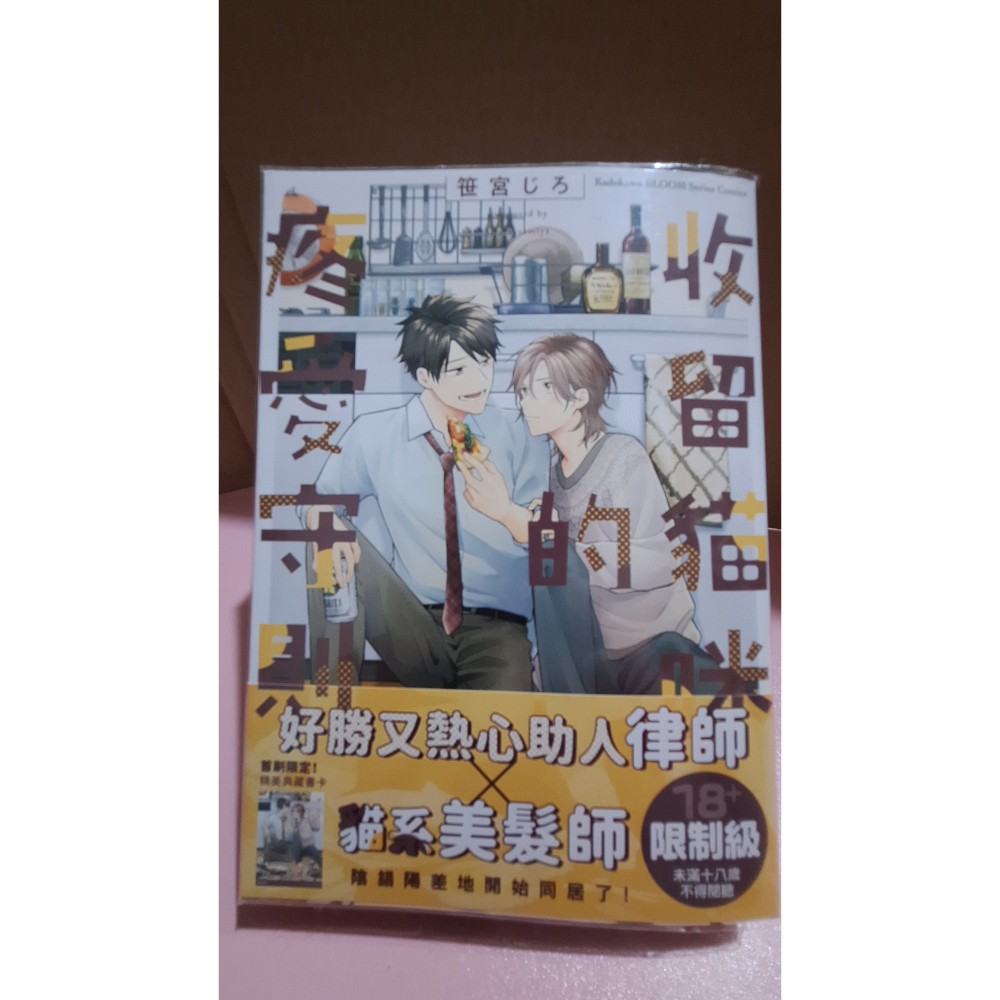收留貓咪的疼愛守則