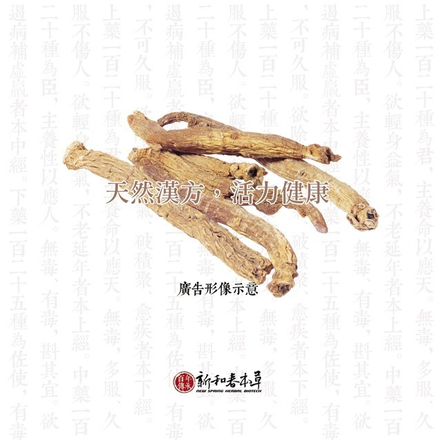東洋蔘元氣茶【沖泡養生茶包】【新和春本草】【新和春中藥房】-細節圖9