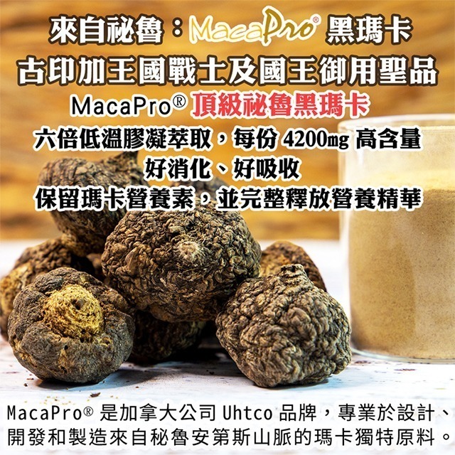 黑水瑪卡【新和春本草】【新和春中藥房】-細節圖6