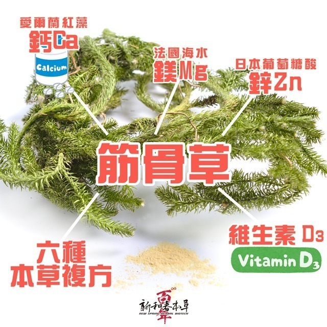 超合筋骨草複方膠囊【新和春本草】-細節圖8