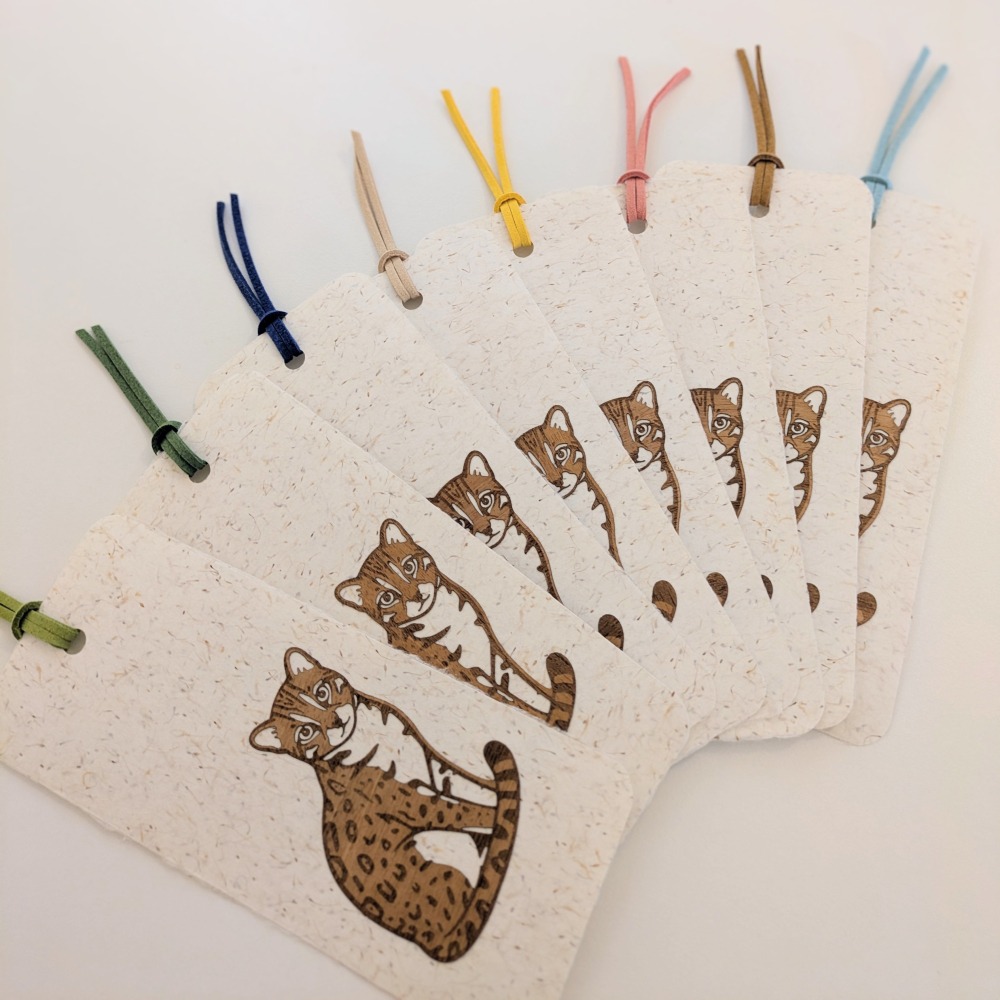 ( Alpine Days 原創商品 )  台灣石虎 手工紙書籤 / 可書寫小禮卡-細節圖4