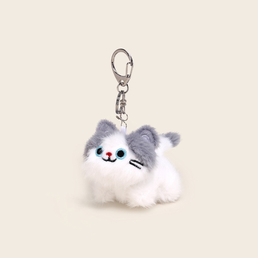 灰貓