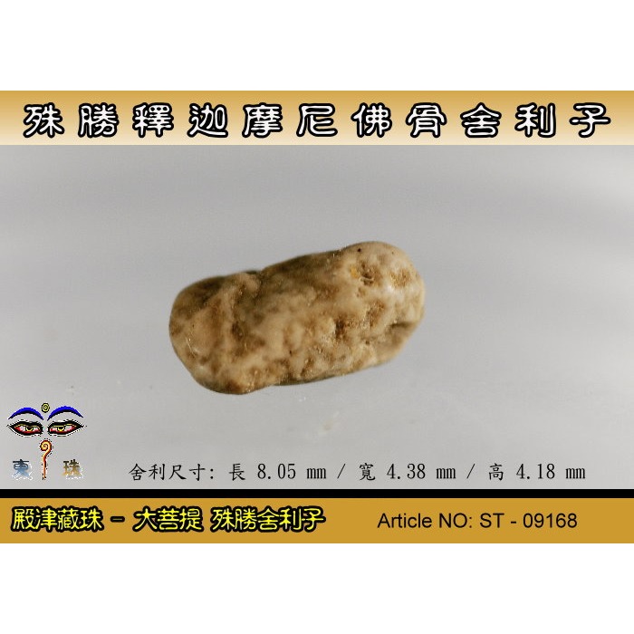 【大菩提】殊勝 釋迦摩尼佛稀有骨舍利子。ST-09168-細節圖3