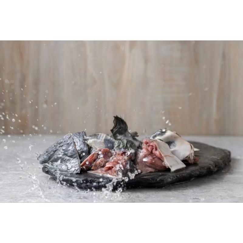 〔鱉來卵〕💥買5送1💥💯冷凍真空包裝 處理完整 鱉肉 1斤裝 炒 燉 煮 炸 都非常合適喲-細節圖2