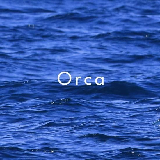 日本春香堂 Shunkohdo 虎鯨 Orca 線香 20支入-細節圖2