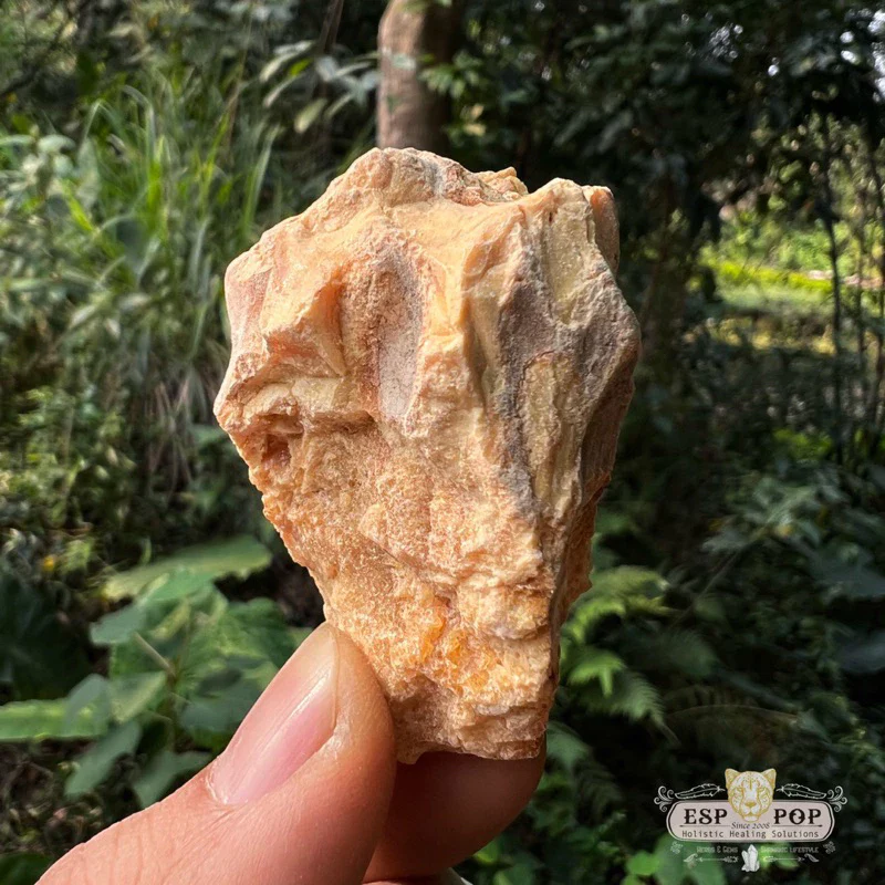 台灣 ESPpop 靈性樹脂薰香 Copal 馬雅科巴樹脂 50g｜墨西哥當地直送-細節圖3