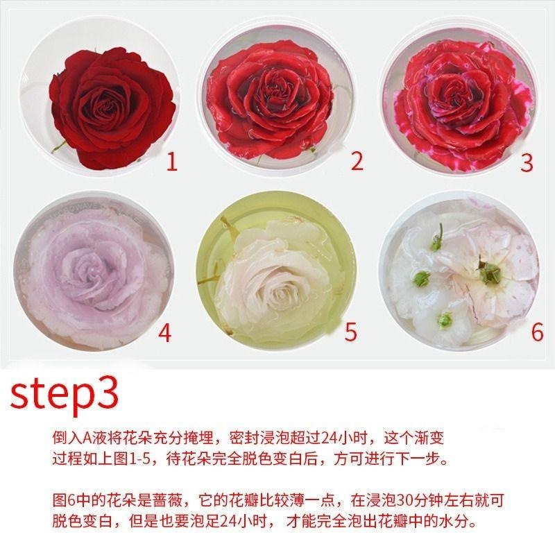 【永生花製作液】DIY 永生花製作液 AB液 不凋花 保鮮花 乾燥花-細節圖5