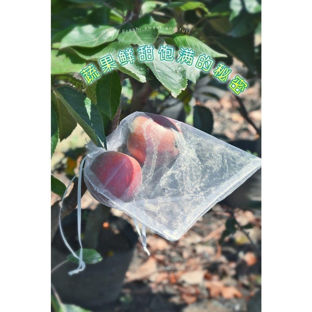 【雙拉繩紗袋-大號單入】水果套袋 紗網袋 雪紗網 防蟲網袋 水果網袋 紗袋 套袋 整理袋 雪紗袋 防蟲網 防蟲袋 防蟲網-細節圖2