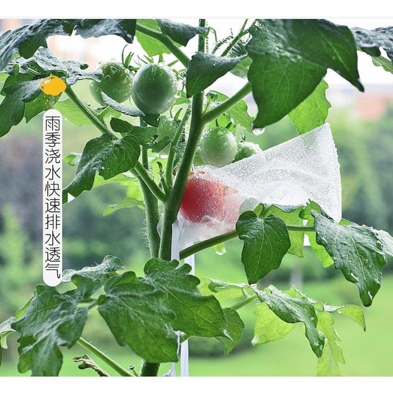 【雙拉繩紗袋-大號單入】水果套袋 紗網袋 雪紗網 防蟲網袋 水果網袋 紗袋 套袋 整理袋 雪紗袋 防蟲網 防蟲袋 防蟲網-細節圖3
