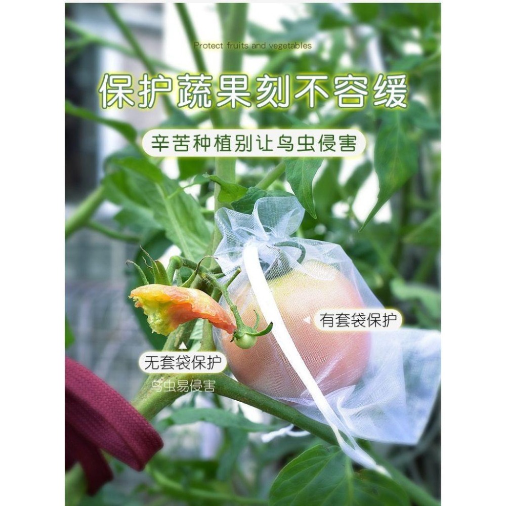 【雙拉繩紗袋-大號單入】水果套袋 紗網袋 雪紗網 防蟲網袋 水果網袋 紗袋 套袋 整理袋 雪紗袋 防蟲網 防蟲袋 防蟲網-細節圖6