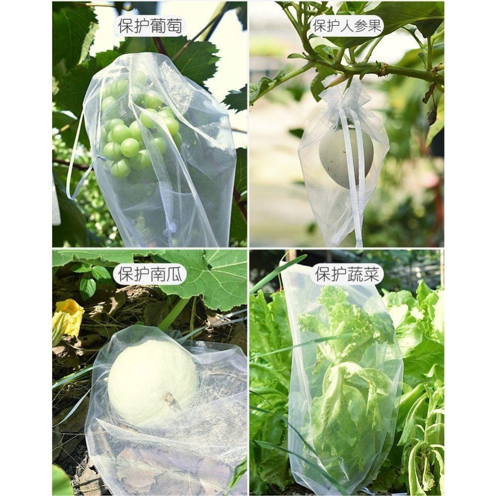 【雙拉繩紗袋-大號單入】水果套袋 紗網袋 雪紗網 防蟲網袋 水果網袋 紗袋 套袋 整理袋 雪紗袋 防蟲網 防蟲袋 防蟲網-細節圖8