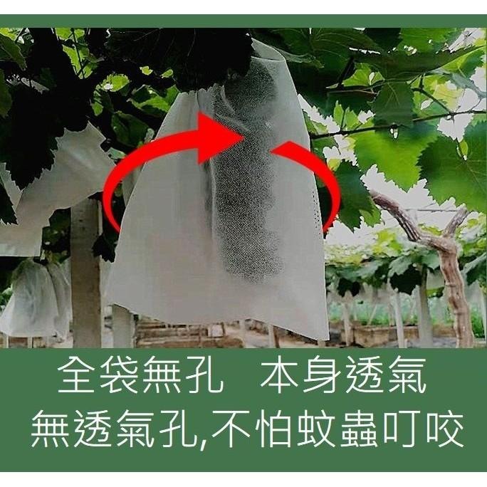 【水果套袋】50入 防蟲網 防蟲 水果套袋 網袋 紗網袋 網袋 水果網袋 套袋 透氣 防果蠅 防鳥-細節圖2