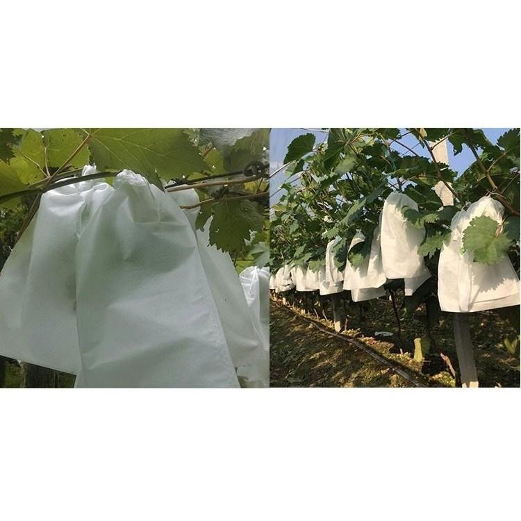 【水果套袋】50入 防蟲網 防蟲 水果套袋 網袋 紗網袋 網袋 水果網袋 套袋 透氣 防果蠅 防鳥-細節圖5