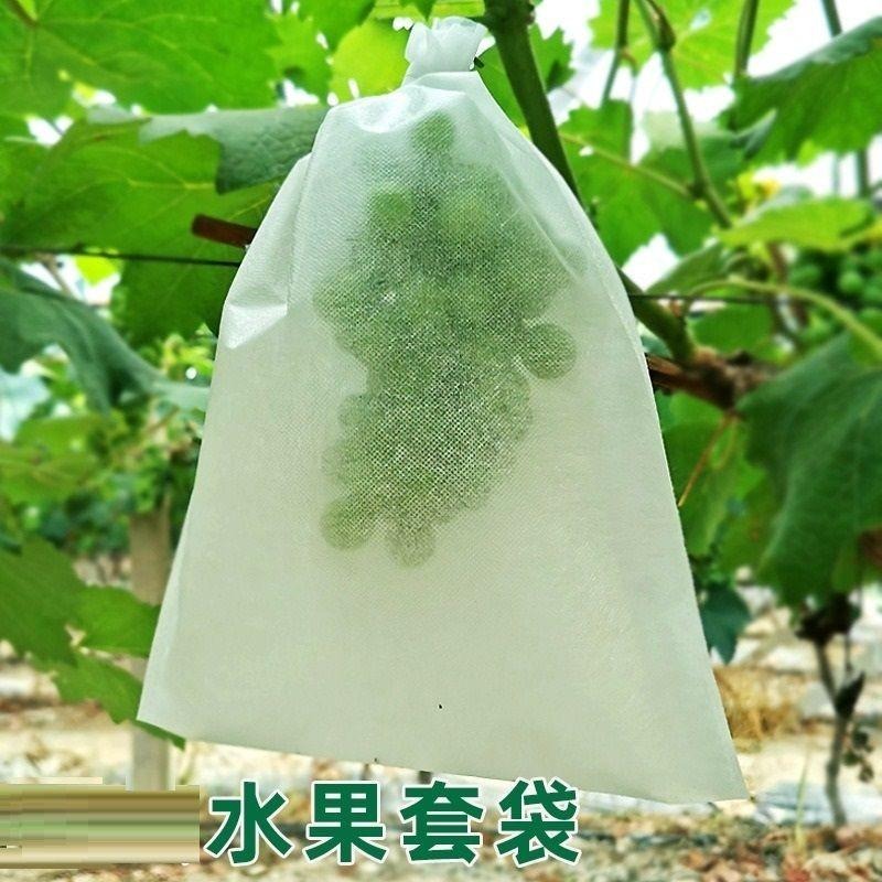 【水果套袋】50入 防蟲網 防蟲 水果套袋 網袋 紗網袋 網袋 水果網袋 套袋 透氣 防果蠅 防鳥-細節圖8