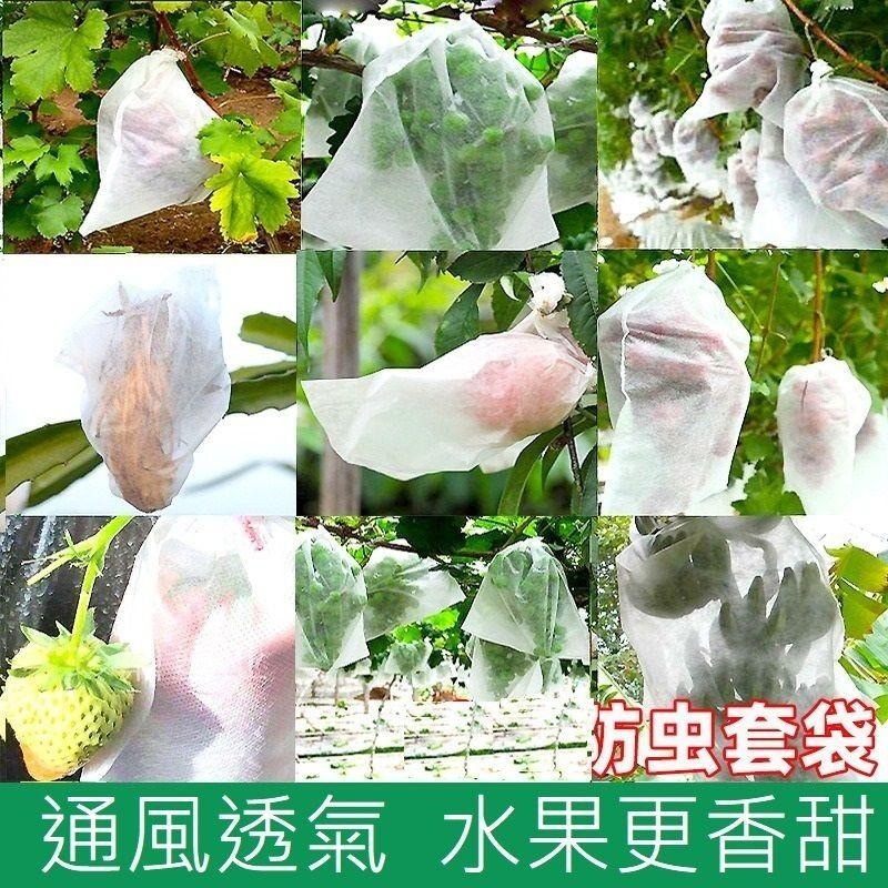 【水果套袋】50入 防蟲網 防蟲 水果套袋 網袋 紗網袋 網袋 水果網袋 套袋 透氣 防果蠅 防鳥-細節圖9