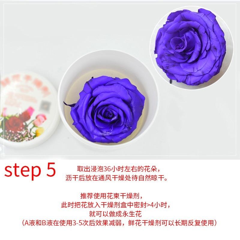 【永生花製作液-染料】DIY 永生花製作液 AB液 不凋花 保鮮花 乾燥花-細節圖2
