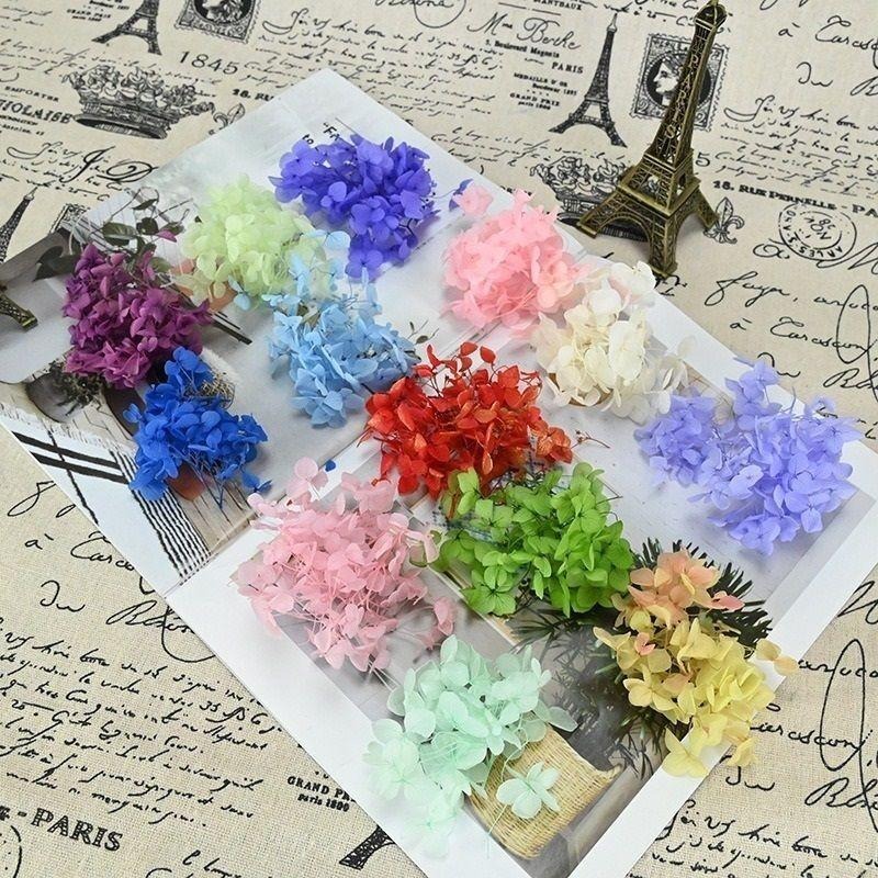 【永生花5克/20克】永生花/安娜繡球/永生繡球花/木繡球/繡球花/DIY/不凋花/乾燥花/手腕花/胸花-細節圖4