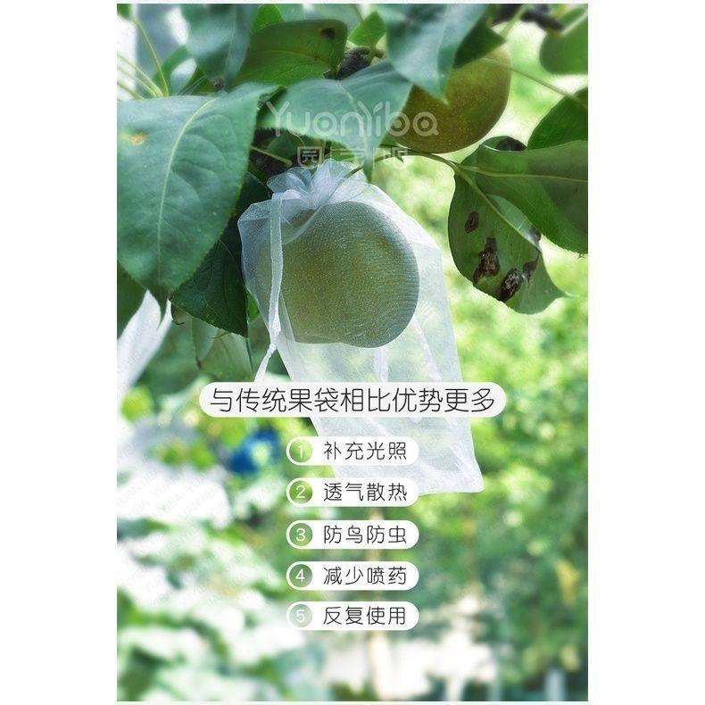 【雙拉繩紗袋-小號單入】水果套袋 紗網袋 雪紗網 防蟲網袋 水果網袋 紗袋 套袋 整理袋 雪紗袋 婚禮 防蟲網 防蟲袋-細節圖3
