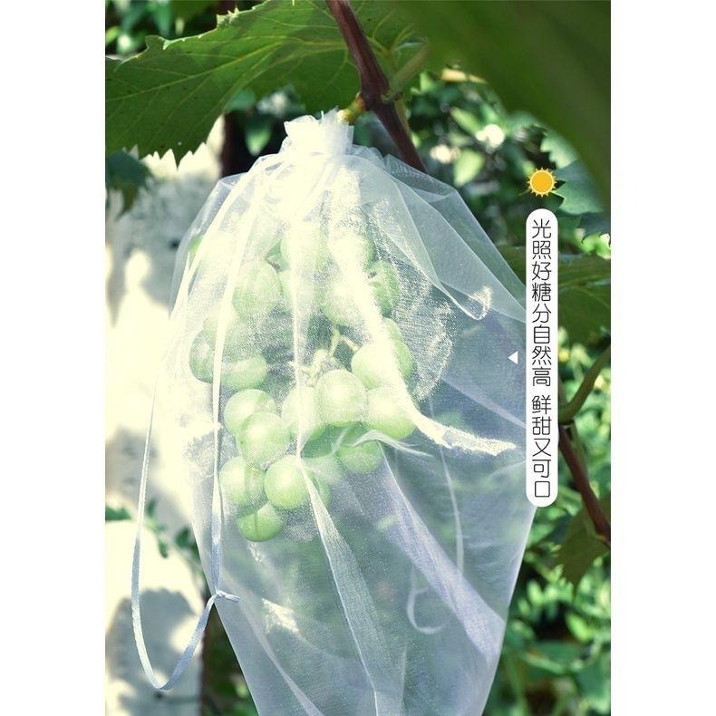 【雙拉繩紗袋-小號單入】水果套袋 紗網袋 雪紗網 防蟲網袋 水果網袋 紗袋 套袋 整理袋 雪紗袋 婚禮 防蟲網 防蟲袋-細節圖4